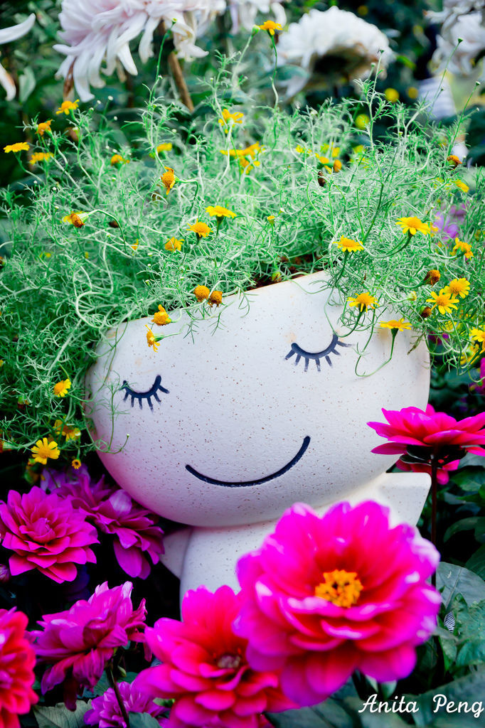 IMG_8043.jpg IMG_8043.jpg