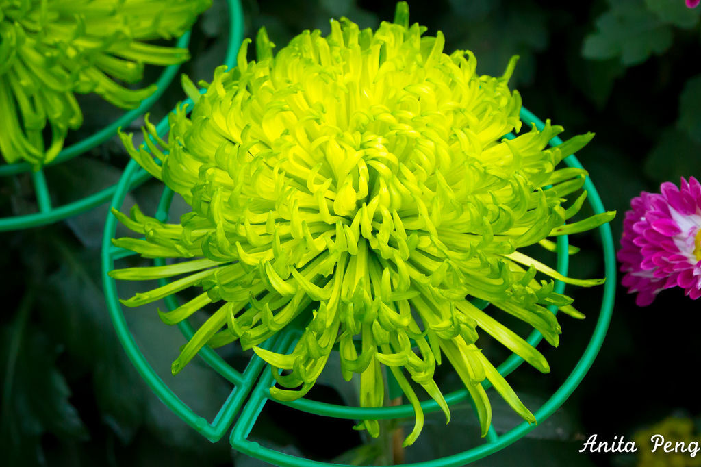 IMG_8047.jpg IMG_8047.jpg