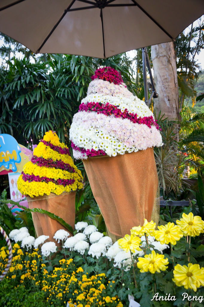 IMG_8057.jpg IMG_8057.jpg