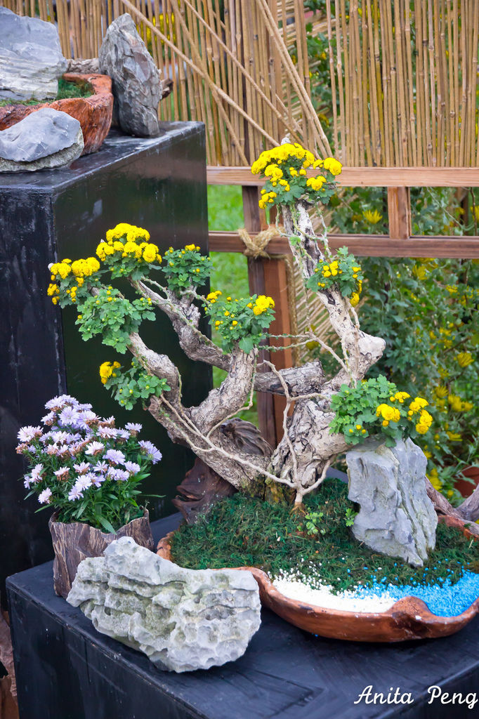 IMG_8065.jpg IMG_8065.jpg