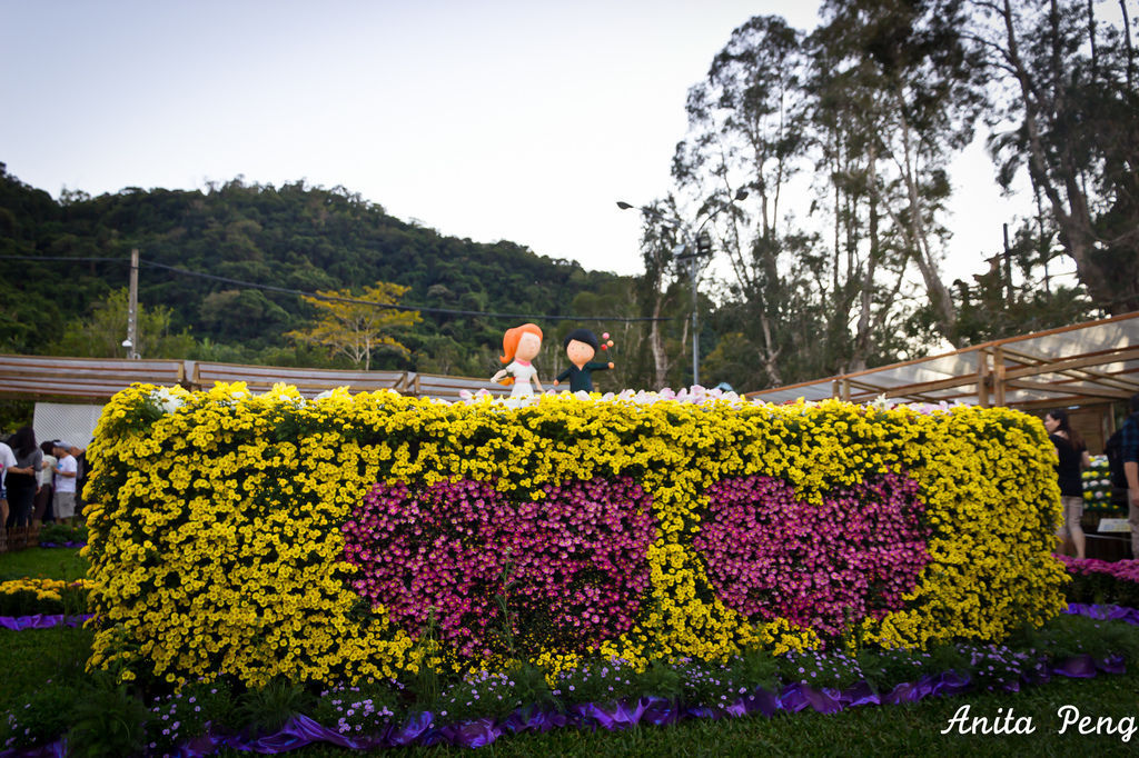 IMG_8069.jpg IMG_8069.jpg