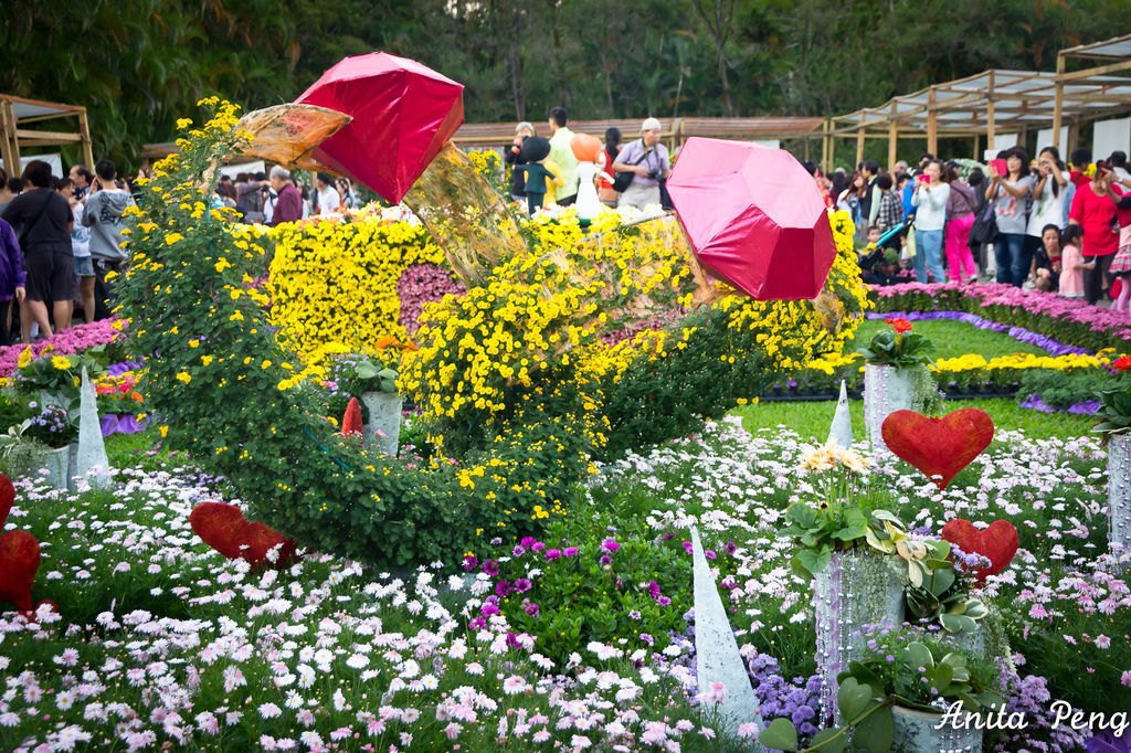 IMG_8078.jpg IMG_8078.jpg