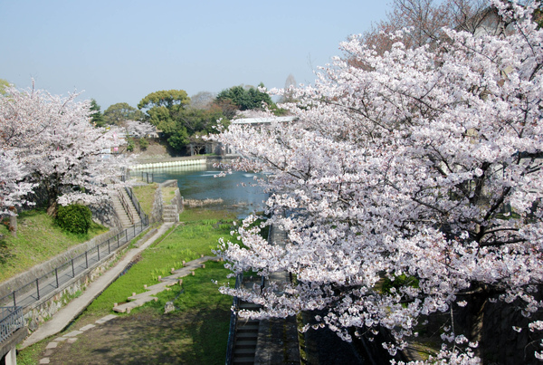 經過了琵琶湖疏水紀念館