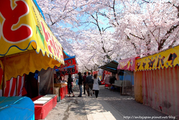 平野神社-1.jpg