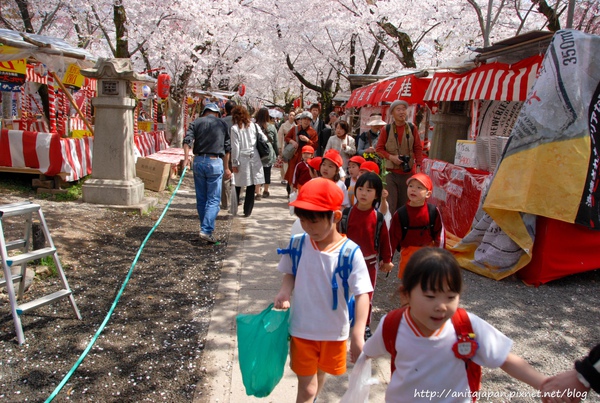 平野神社-3.jpg