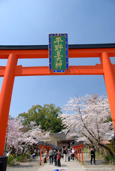 平野神社-20.jpg