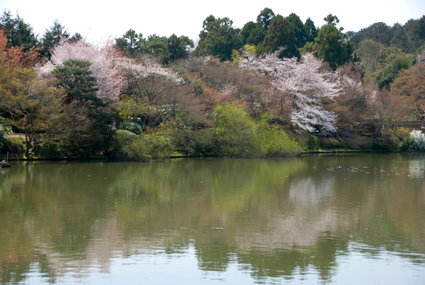 龍安寺-10.jpg