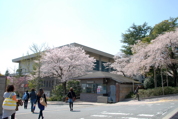 平野神社-26.jpg