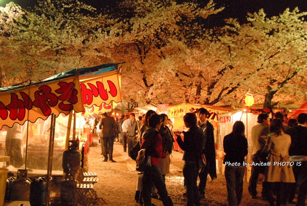 夜晚的平野神社