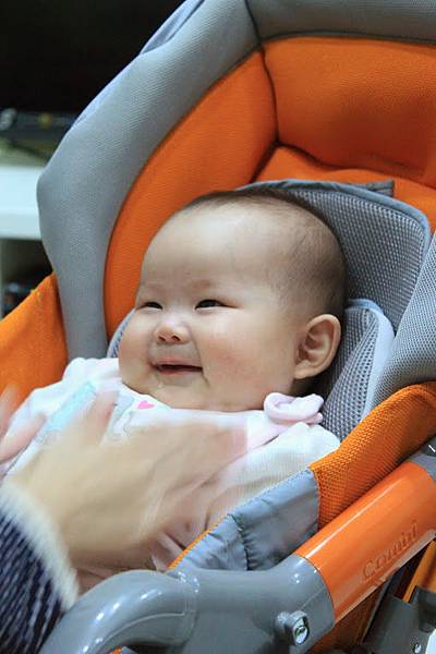 IMG_1584 IMG_1584