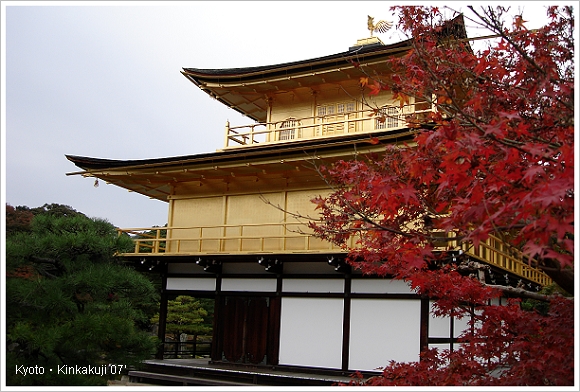 京都 金閣寺.JPG