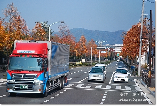 日本，京都，嵯峨野，賞楓