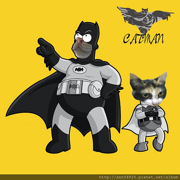 homerbatrs BATMANYROBIN BW