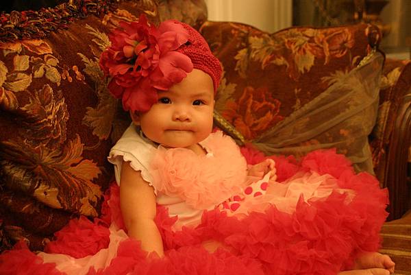 IMG_1731.JPG IMG_1731.JPG