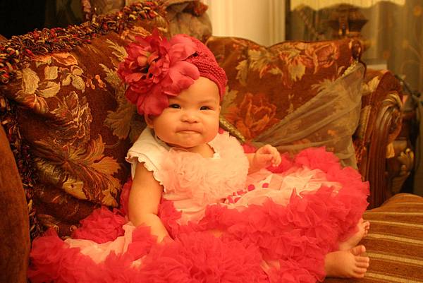 IMG_1733.JPG IMG_1733.JPG