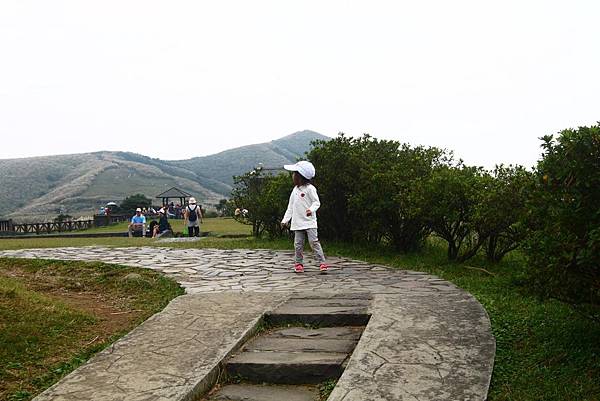 IMG_4428 IMG_4428