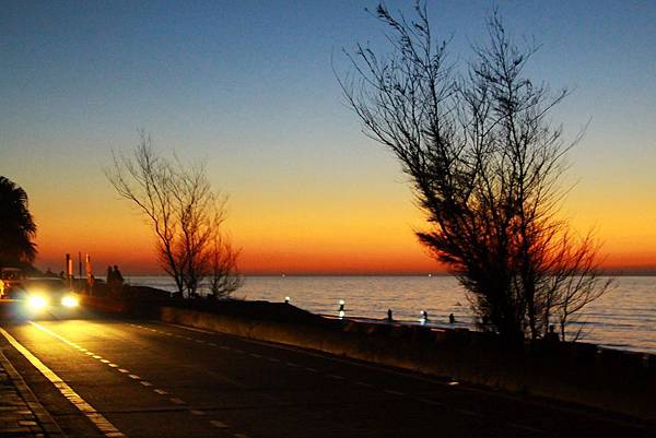 IMG_5431 IMG_5431