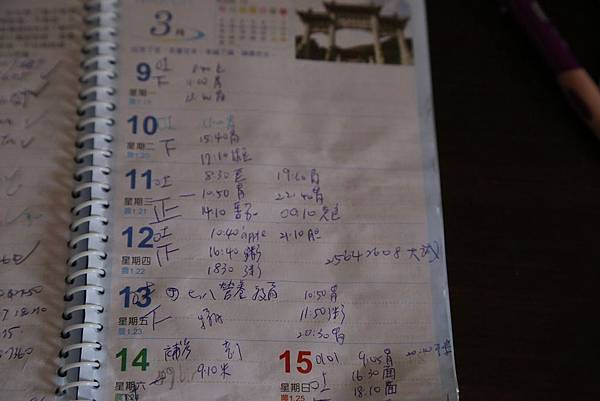 IMG_4649 IMG_4649