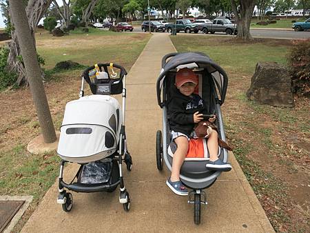 IMG_1962 IMG_1962
