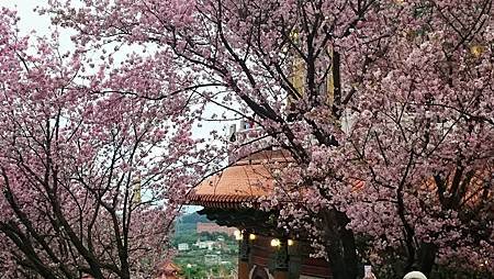 11071100_924475650917320_8780012512240863061_n