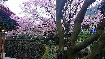 11079603_924475624250656_218776095066760353_n