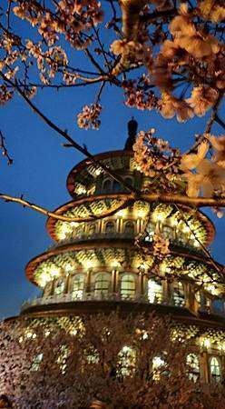 11081002_924475700917315_3952639070043567448_n