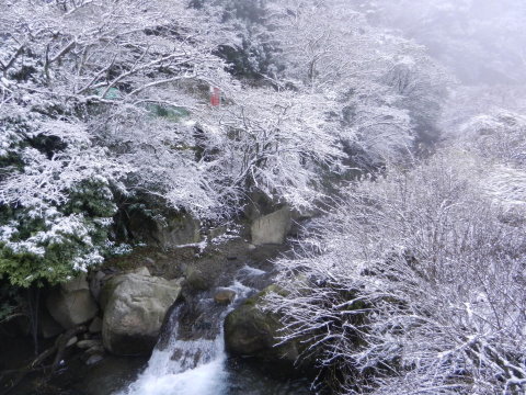 DSCN1738.JPG DSCN1738.JPG