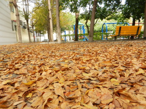 DSCN2998.JPG DSCN2998.JPG
