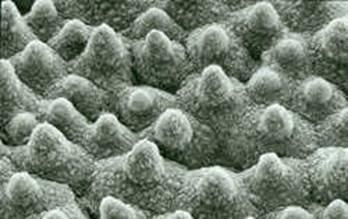 nano-s.jpg nano-s.jpg