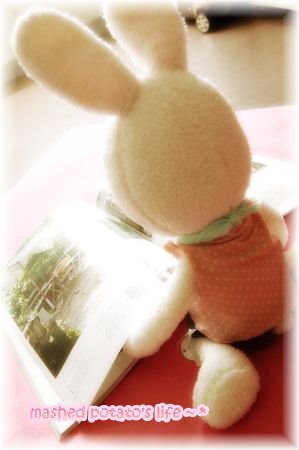 DSC_0065_thumb.jpg DSC_0065_thumb.jpg