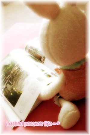 DSC_0070_thumb.jpg DSC_0070_thumb.jpg