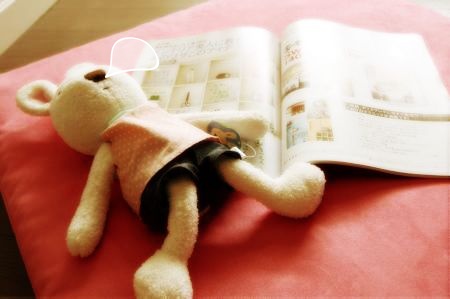 DSC_0095_thumb.jpg DSC_0095_thumb.jpg