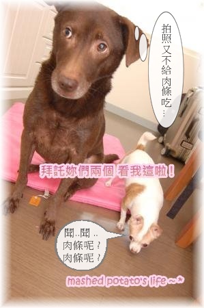 DSC_0137_thumb.jpg DSC_0137_thumb.jpg