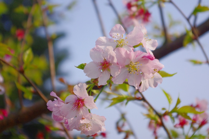 IMGP3567 IMGP3567