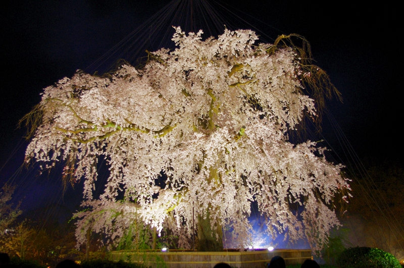 IMGP5332 IMGP5332