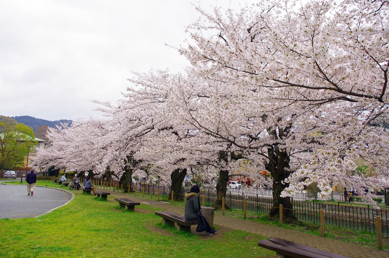 IMGP5866 IMGP5866