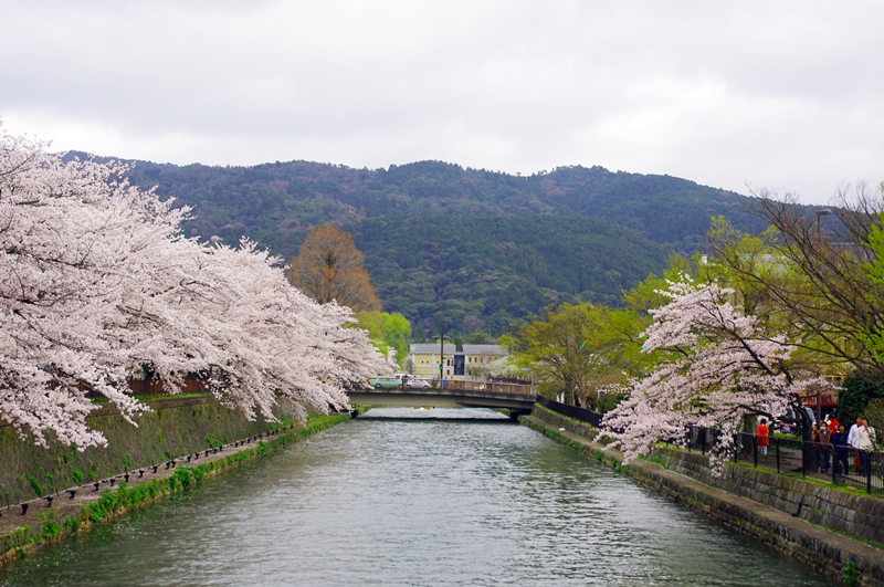 IMGP5863 IMGP5863