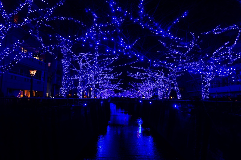 DSC02070 DSC02070