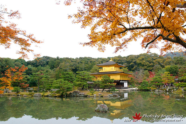 中国 絹本掛軸 高閣 街秋中堂 状態良好