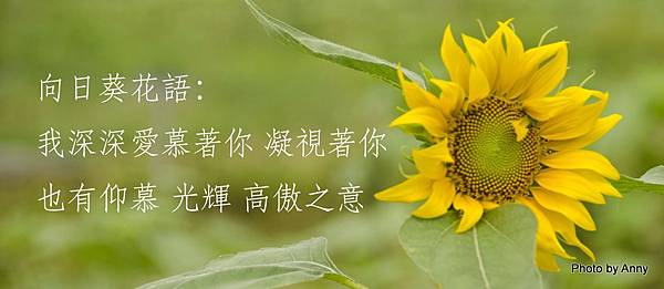 桃園向陽農場 桃園向陽農場