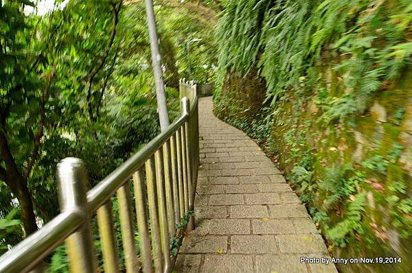 內湖白鷺鷥山親山步道 (9).jpg