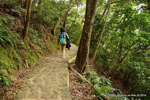 內湖白鷺鷥山親山步道 (25).jpg