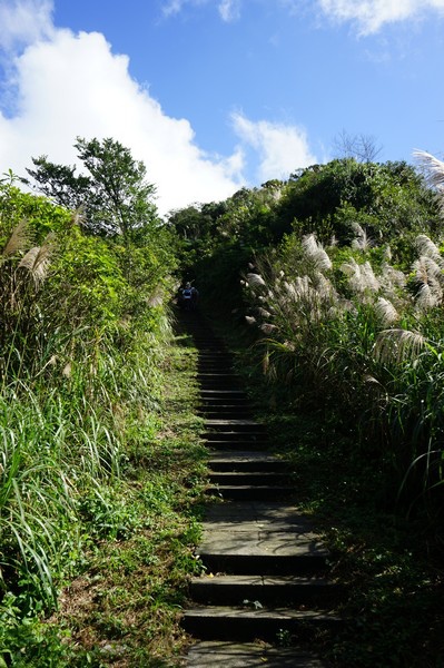 五分山步道 10.jpg