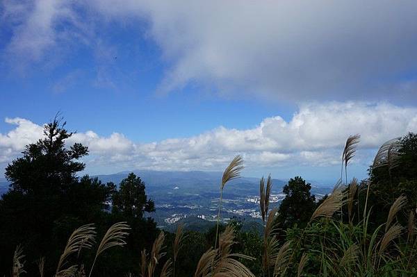 五分山步道 27.jpg