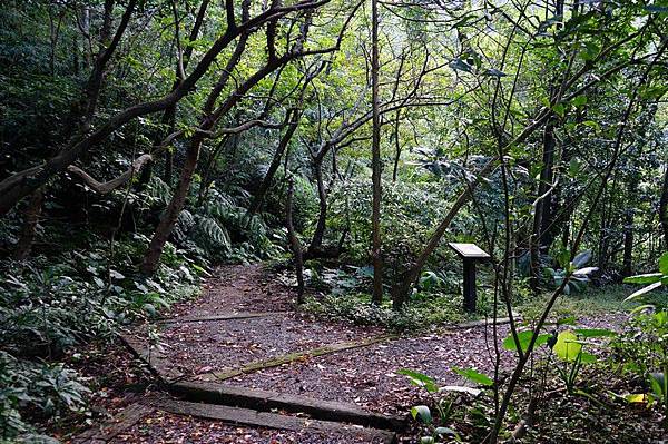 荖寮坑礦坑遺址 27.jpg