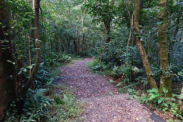 荖寮坑礦坑遺址 58.jpg