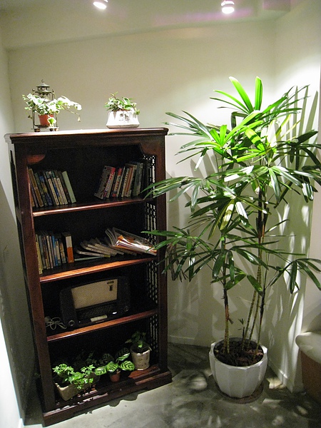 IMG_9359.JPG IMG_9359.JPG