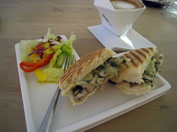 IMG_9064.JPG IMG_9064.JPG