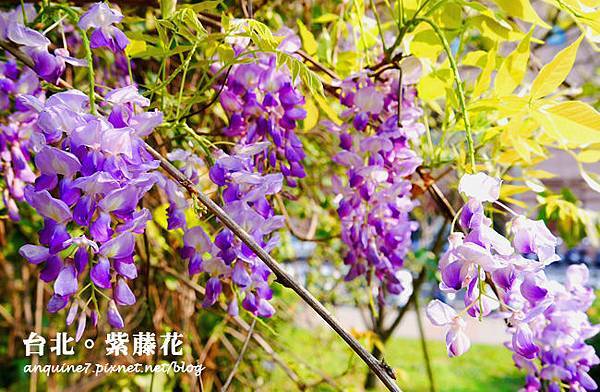 P1120668拷貝 P1120668拷貝