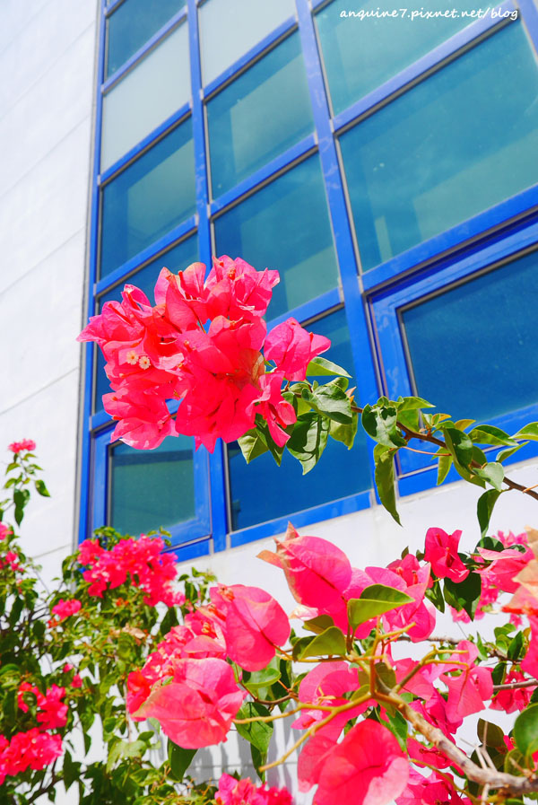 廖西瓜@台東豐源國小3